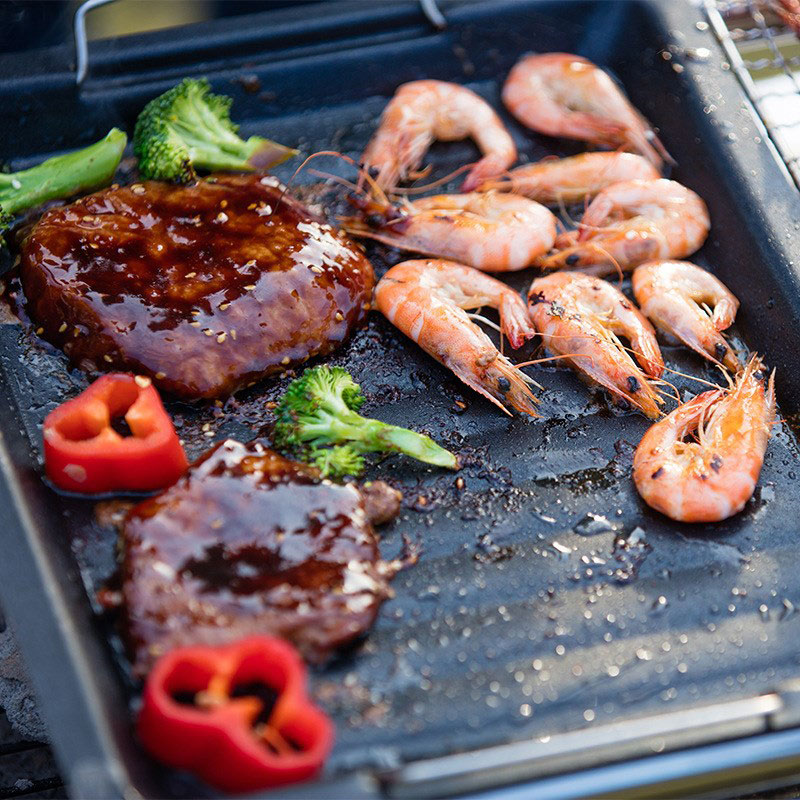 야외용 두꺼운 사각 그릴 팬, 손잡이 두 개, 휴대용  - Camping Cooking Hardware 리뷰 및 가격